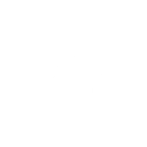 wall-smart-logo-white